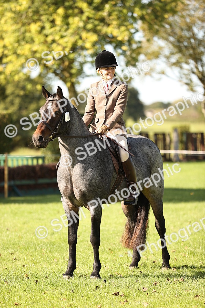 SBM_17007 - S2 - TSR Ridden Pony Showing