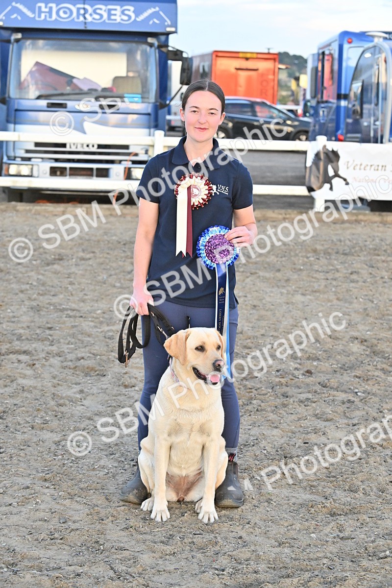 SBM_09729 - Lorry Dogs