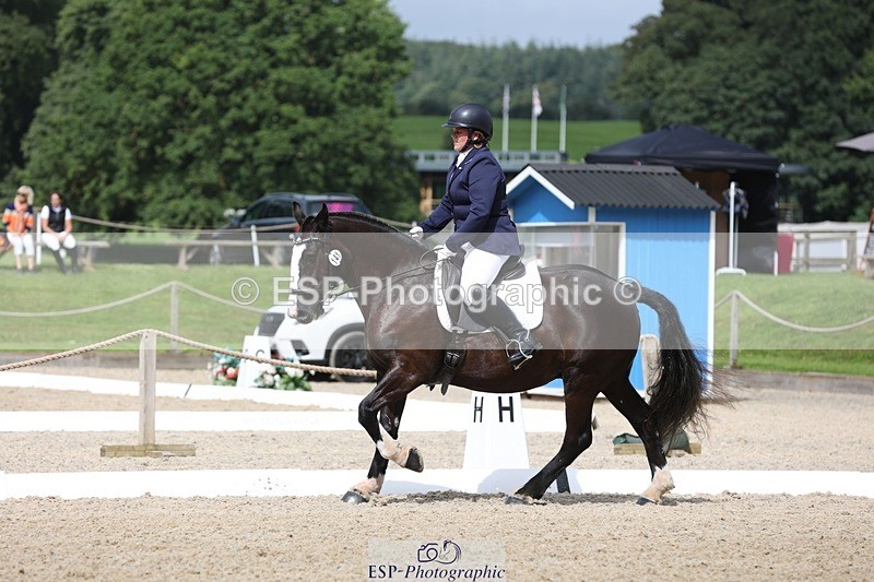 230812-111843-03730 - Cls 5 Novice Bronze 11.15 to 12.50 break