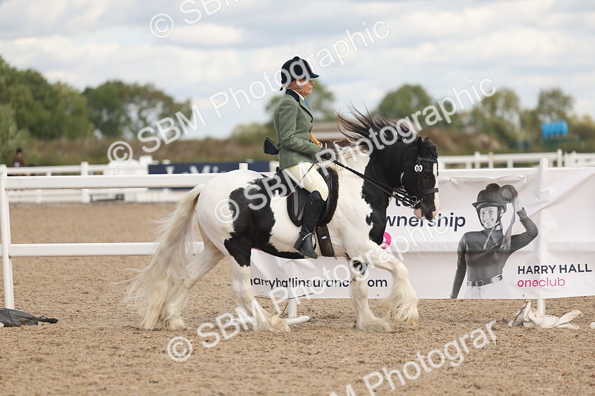 SBM_14709 - Class 307 - Ridden Coloured Pony
