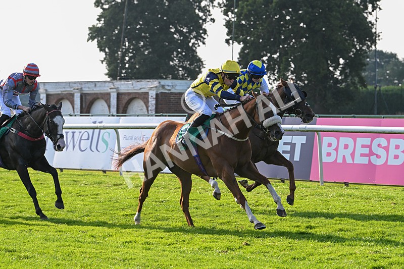 300824-Race 8-Captain Corelli-6662 - Race 8