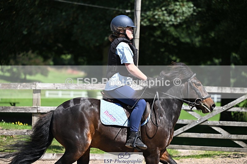 240729B-114608-02543 - Showjumping Competition