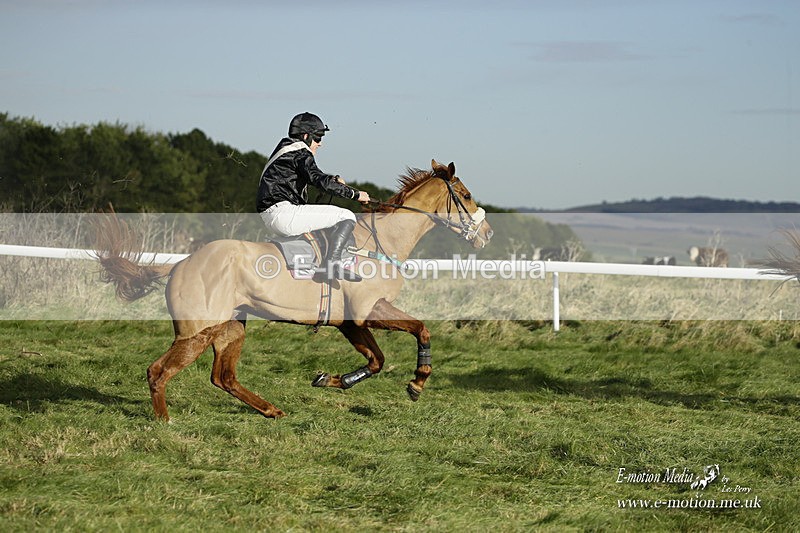 PtP 281121 0149 - Hursley Hambledon Point-to-Point Larkhill 28/11/21