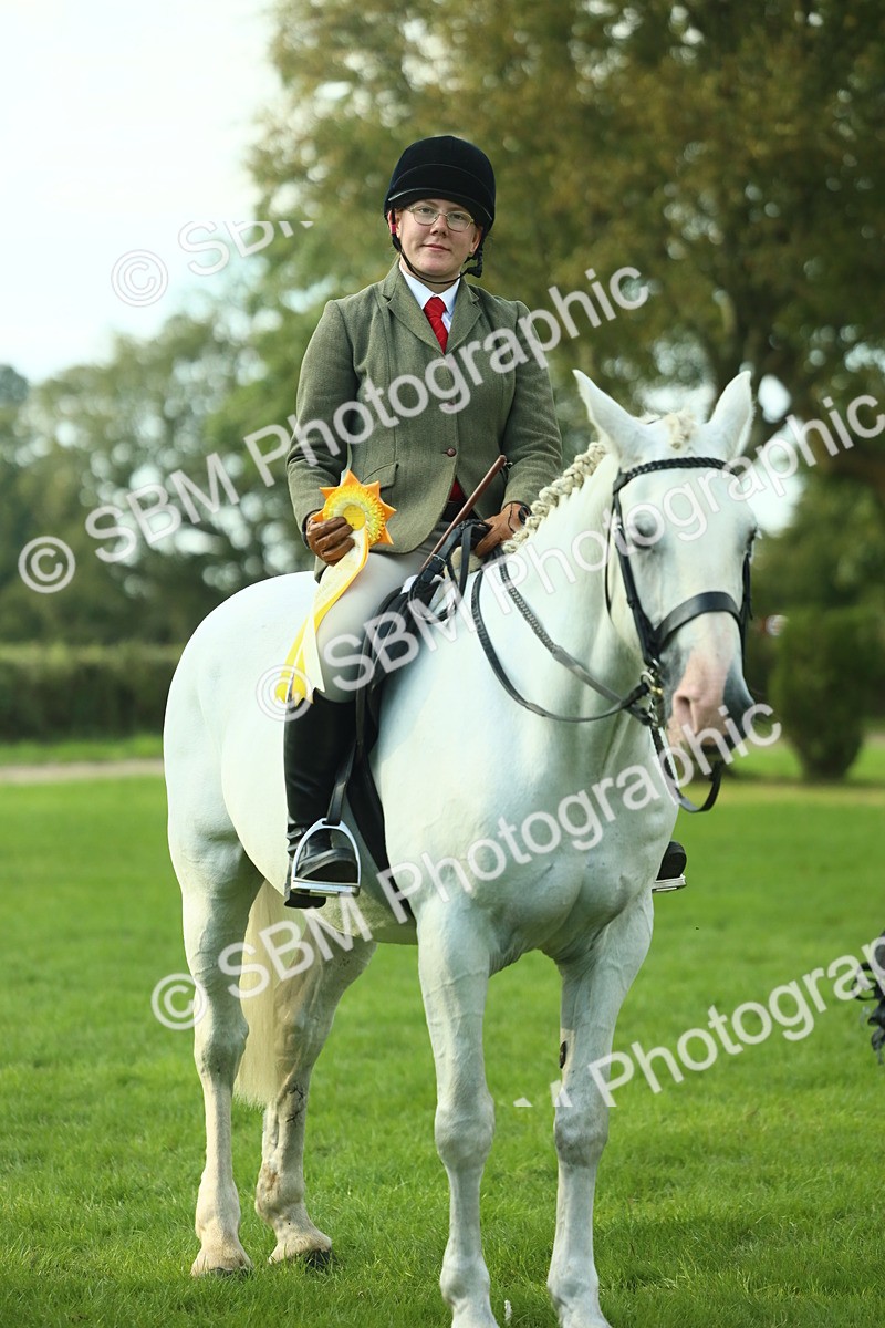 SBM_52241 - S33 - Working Hunter & Working Show Horse