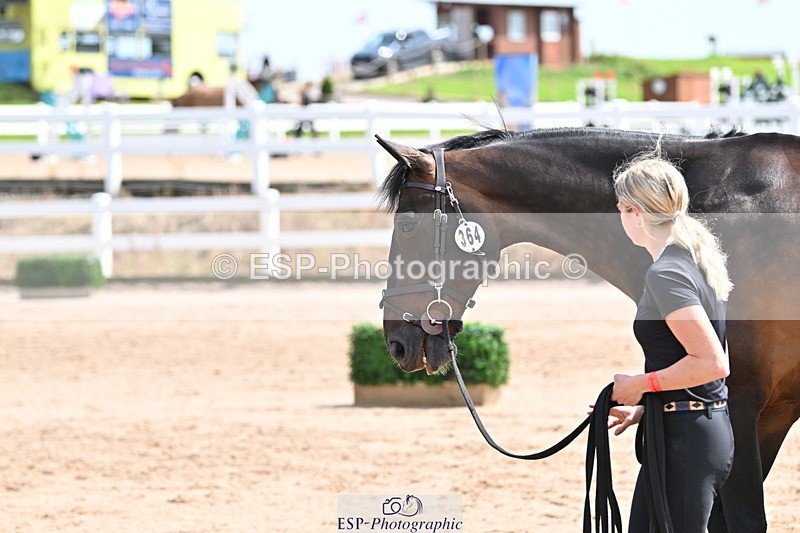 240717A-145253-02370 - Trot Up 2pm to 3pm - This folder is not in time order