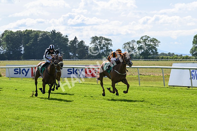 160624-Race 3-Mereside Diva-8521 - Race 3