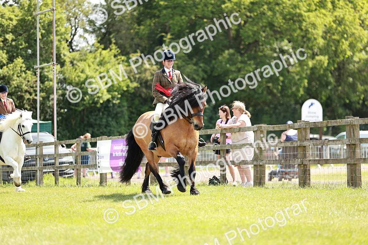 SBM_07217 - Class 26-30 - Mountain and Moorland Ridden