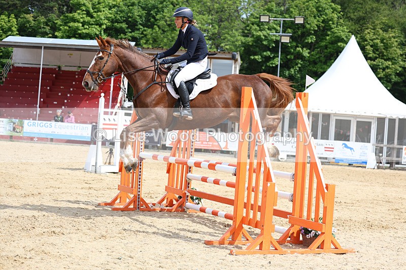 3E7A8788 - Class 4: Senior British Novice/90cm open