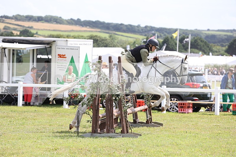 JPP_2091 - Class 19: Working Hunter 60cm