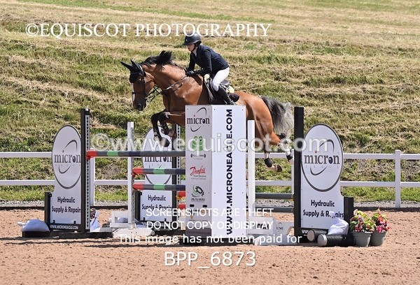 BPP_6873 - CLASS 13 FRI HOYS Talent Seeker Qualifier Inc 7 Year Old Horse Championship Qualifier