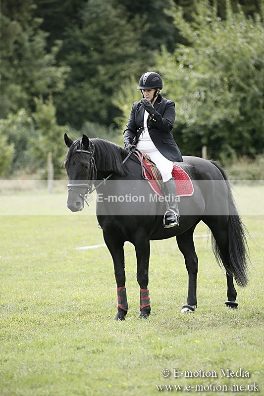 BVR080918 194 - BVRC Novice Dressage & CR 08/09/18