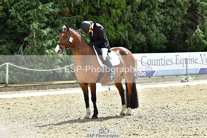 260801A-124607-04054 - Prelim Bronze Break - End