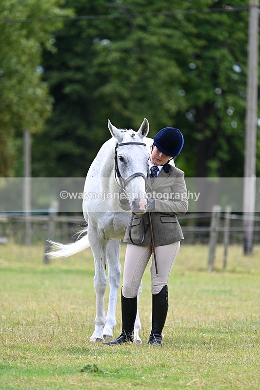 WJ7_7109 - Class 5a Most Handsome Gelding in Hand