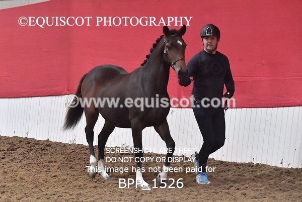 BPP_1526 - MORNING 9AM - 12PM