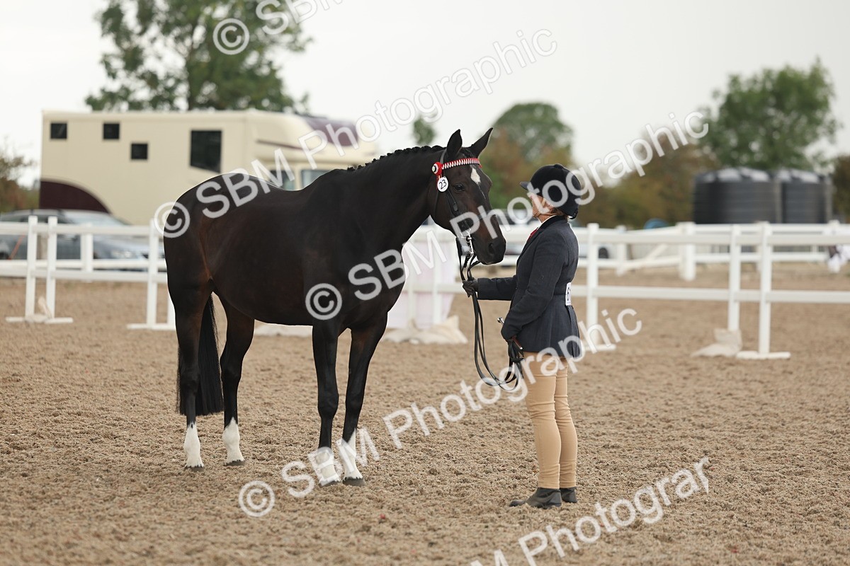 SBM_07685 - Class 26 - IH Foreign Breeds - Part Bred