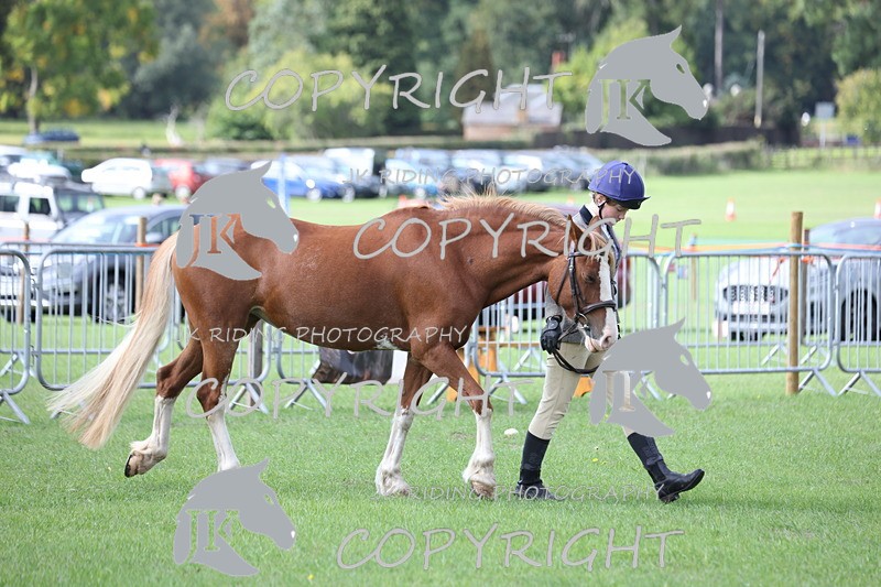 APP_2559 - Class 9 Veterans in hand