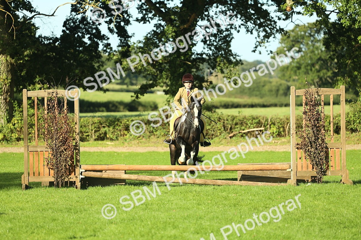SBM_36401 - S29 - Novice & Newcomers Working Hunter Pony