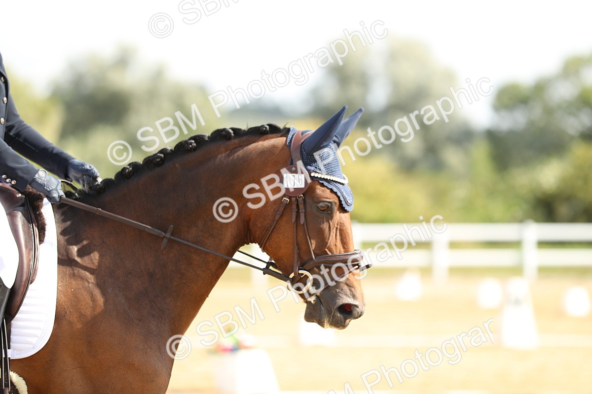 SBM_015647 - Class 13 - Novice 23 - 9.54-11.04