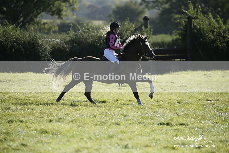 WWHT 031021 650 - Novice Restricted (0.80m) 03/10/21