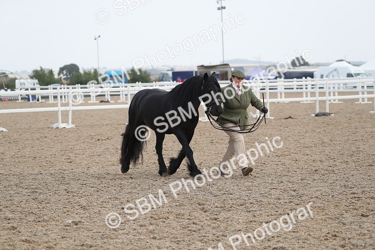 SBM_23309 - Class 606 - 2025 Area - IH Pre Vet