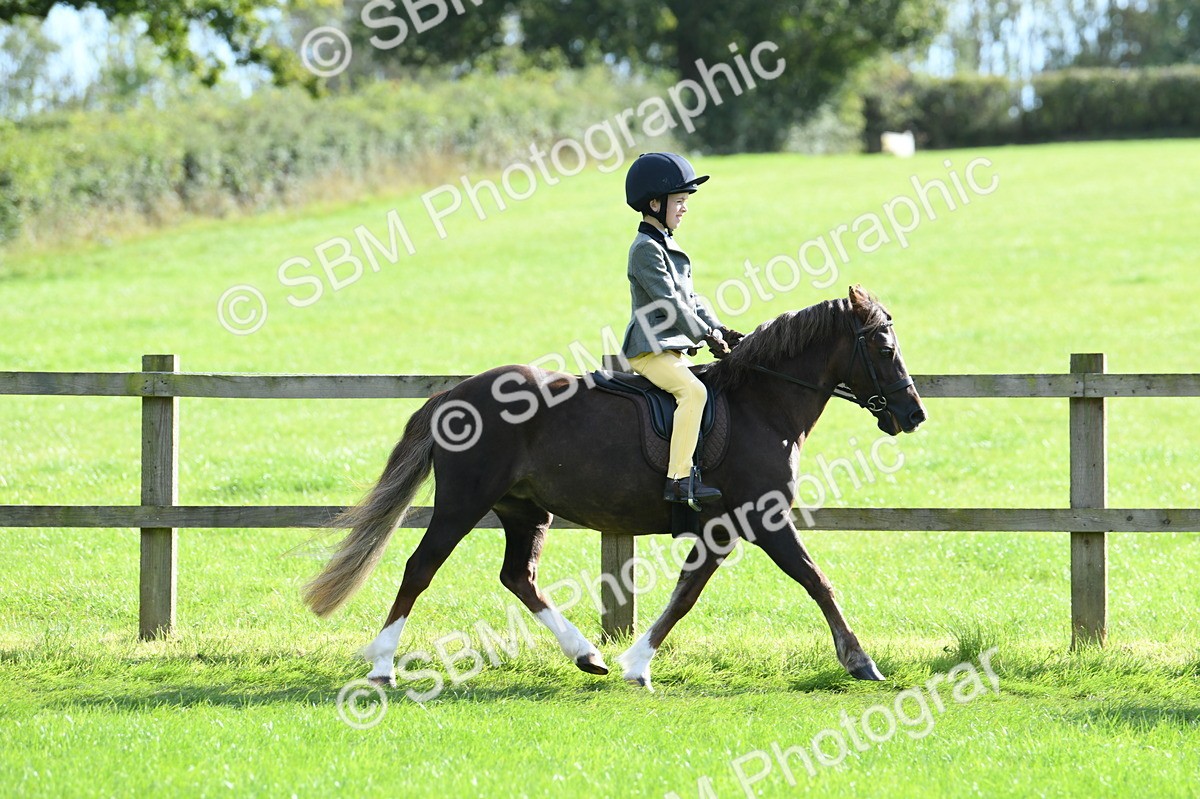 SBM_50256 - S21 - Novice & Newcomers 1st Ridden Pony
