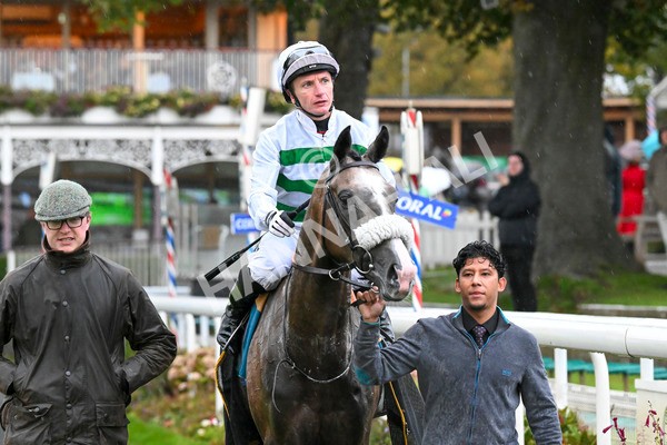 121024-Race 5-Almeric-3345 - Race 5 3.55pm Coral Racing Club EBF Maiden Stakes