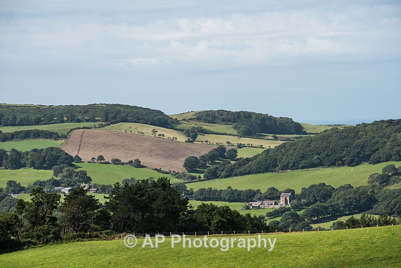 ACP_2488-1 - Rural Views