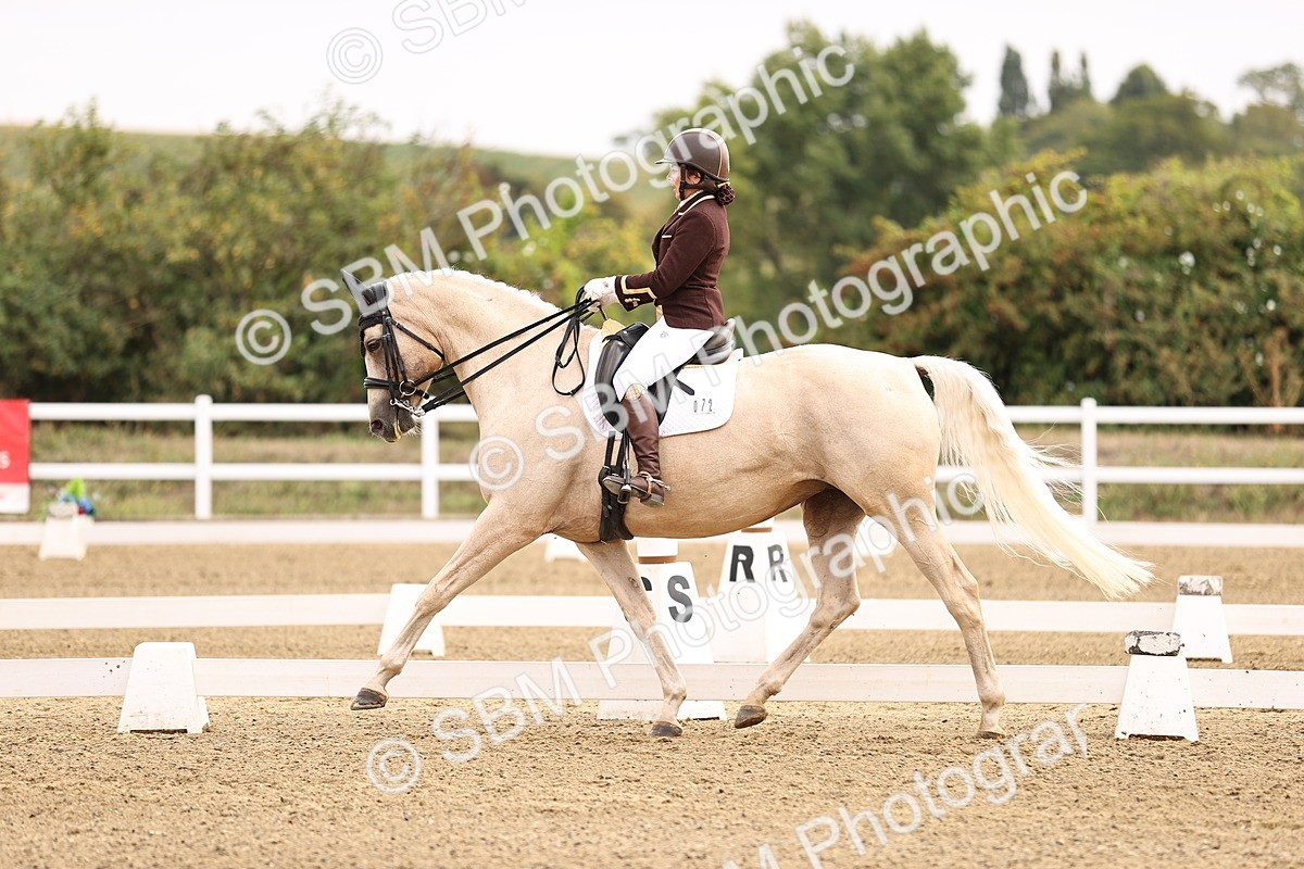 SBM_011517 - Class 1 - Medium 5