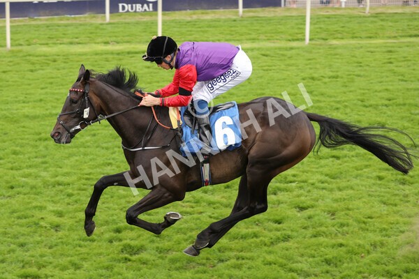 yr24072021r6-8 - Race 6 5.00pm Sky Bet Supporting New Beginnings