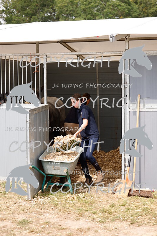 _R6A2914 - Arena Eventing Afternoon