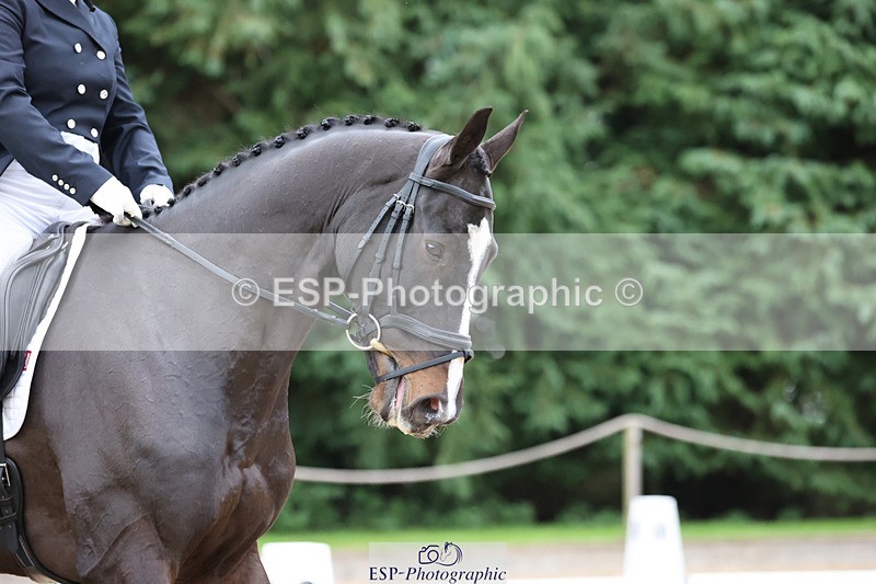 241024-154016-04886 - 235-Sam.Jennings-BILLY.ENERGETIC