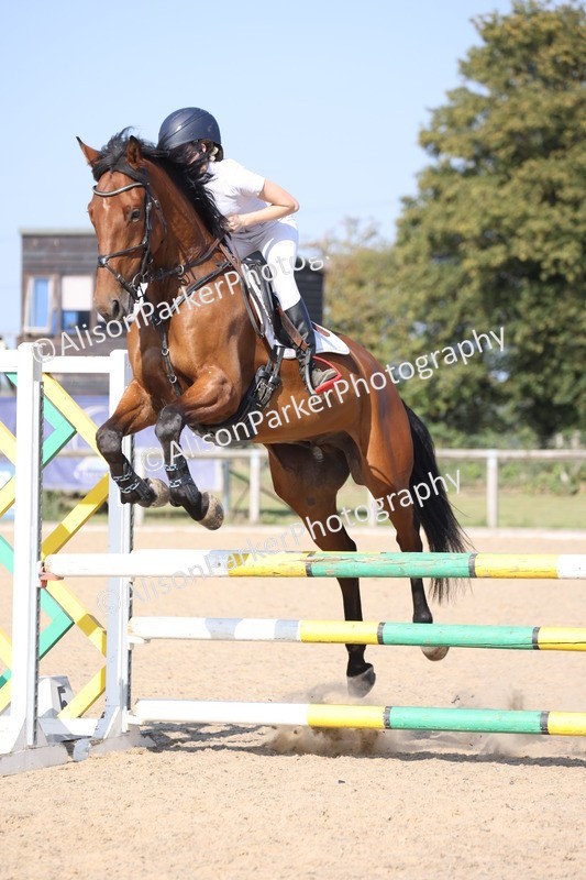 20250810-3465 - Class 7 - 1m