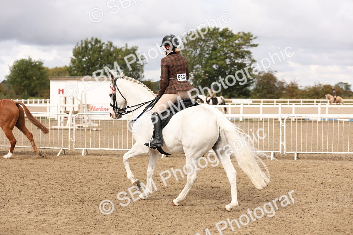 SBM_02839 - Class 53 - Ridden Competition Horse/Pony
