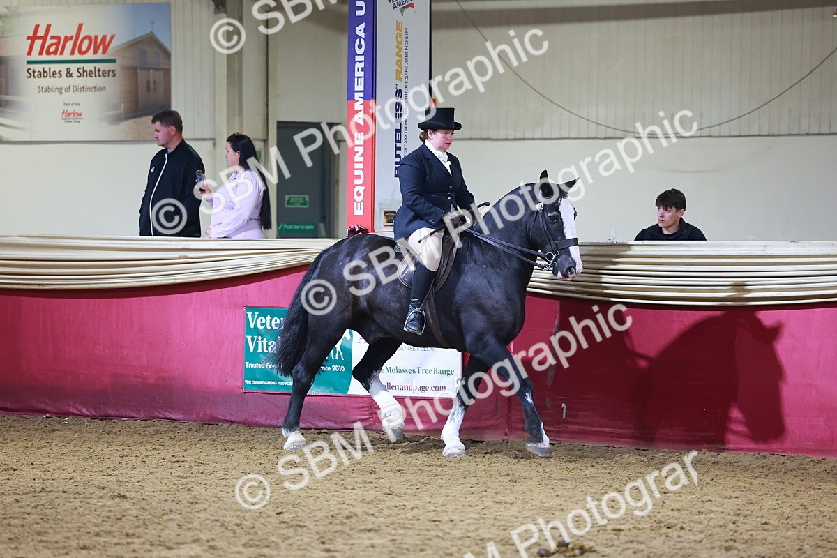 SBM_15658 - Class T - Working Veteran Champ
