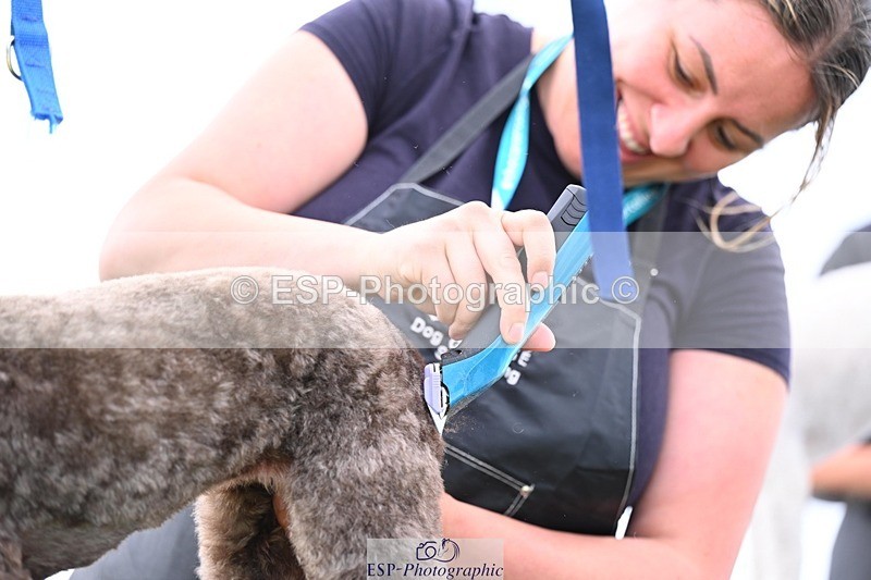 240525-114918-12637 - Candid and Saturday Hobby Horse