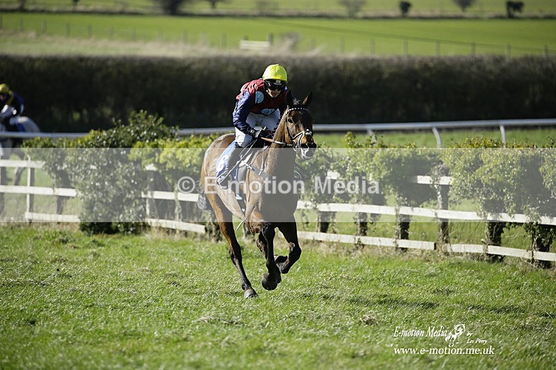 PtP 260222 256 - Kingston Blount Racing Club Point-to-Point 26/02/22