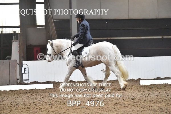 BPP_4976 - INTRO TEST 3