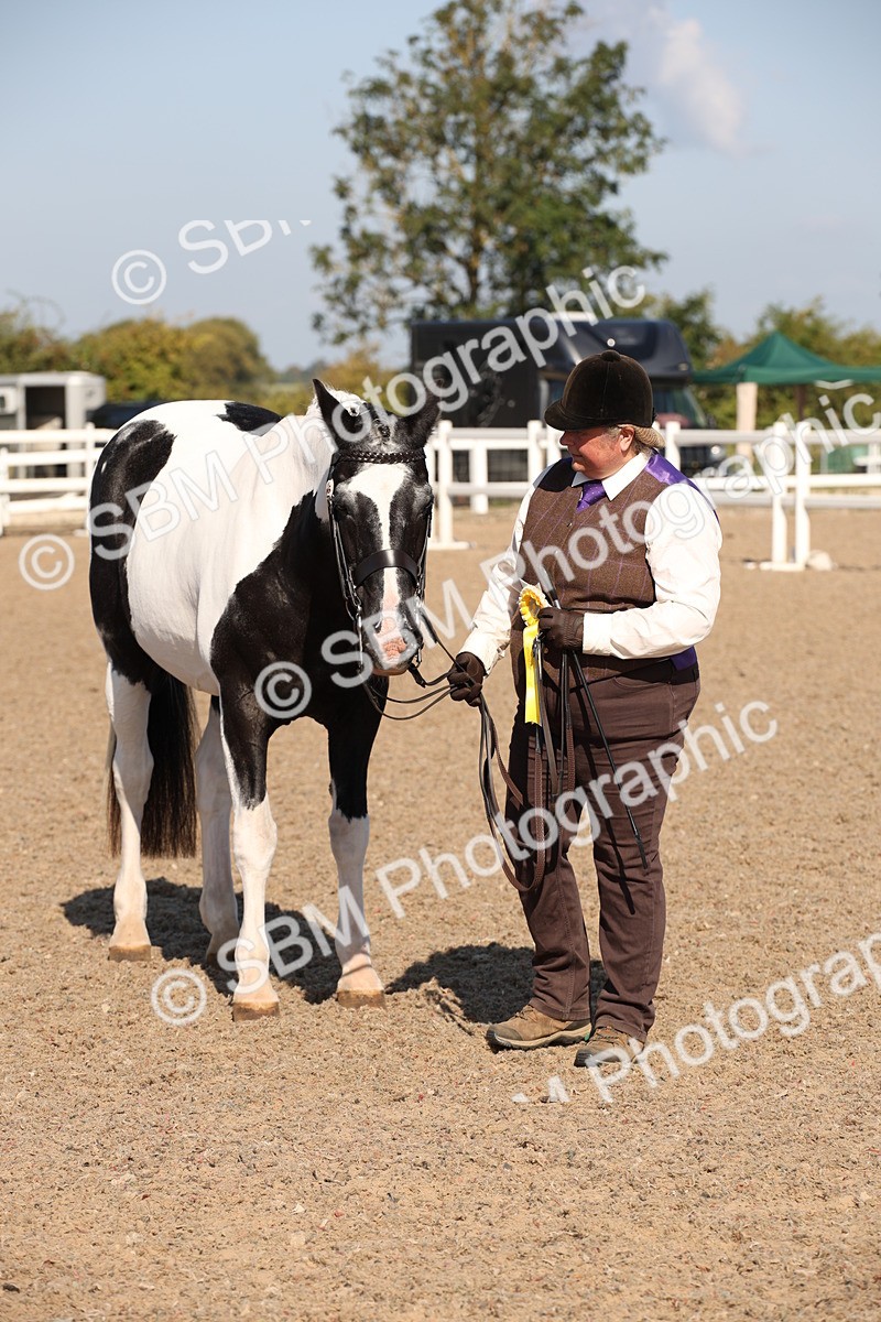 SBM_01573 - Class 15 IH Coloured