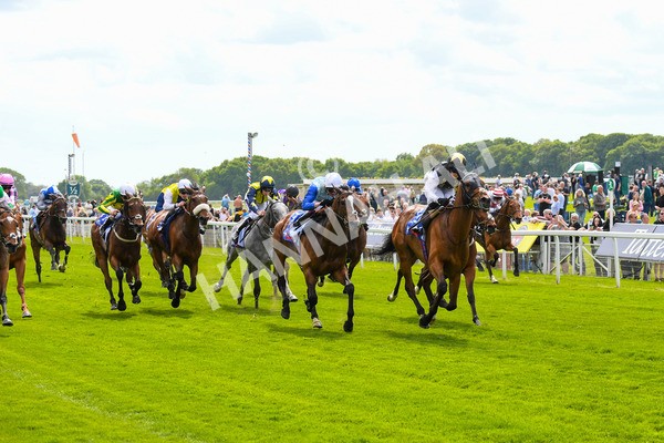 170523-Race 1-Scampi-0192 - Race 1 1.50pm Sky Bet Race To The Ebor Jorvik Handicap