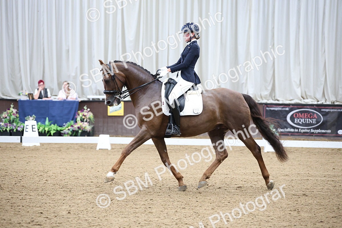 SBM_003938 - Class 8 - Advanced Medium 6 Silver