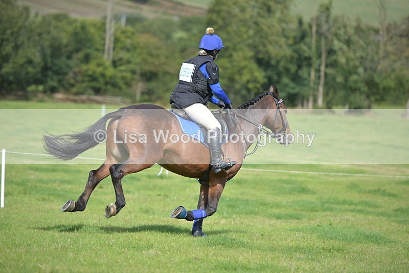 RAY_8956 - Class 2: Trekenning Open: Wall