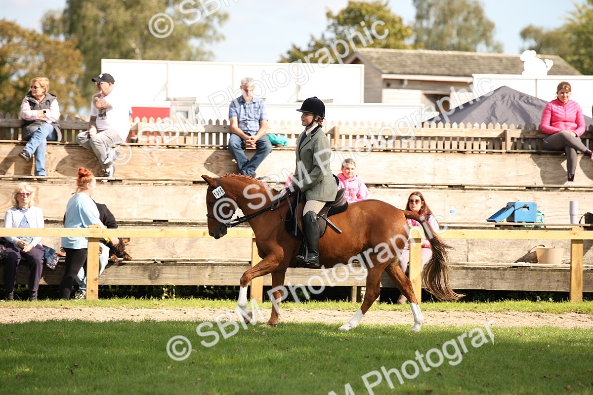 SBM_50043 - S26 - Young Veteran - Ridden