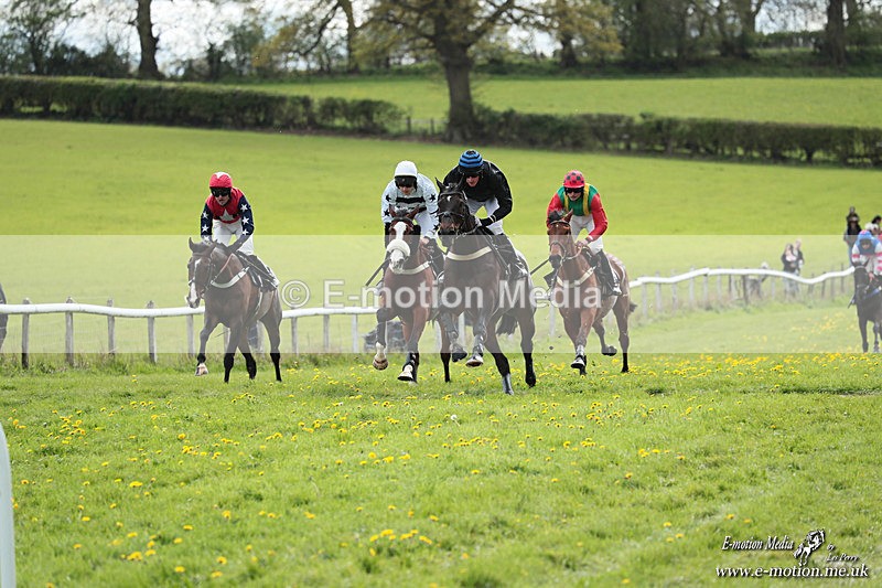 PtP 180426 486 - Worcestershire Hunt PtP Chaddesley Corbett 18/04/26