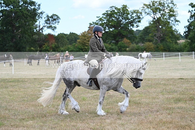 WJ7_5293 - Class 12 Ridden Cob