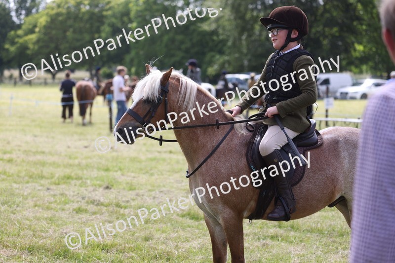 20260614-0759 - Class 20 - Beginners Working Hunter Pony