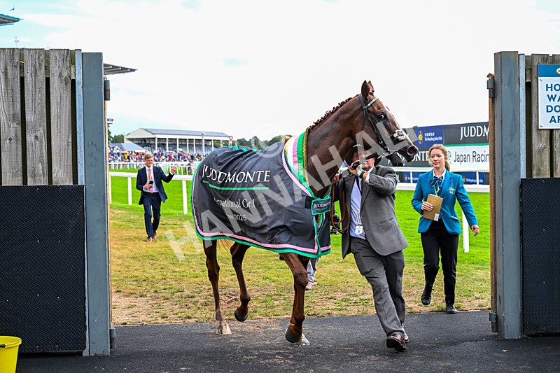 190826-Race 4-Item-0716 - Race 4 15.35pm Juddmonte International Stakes