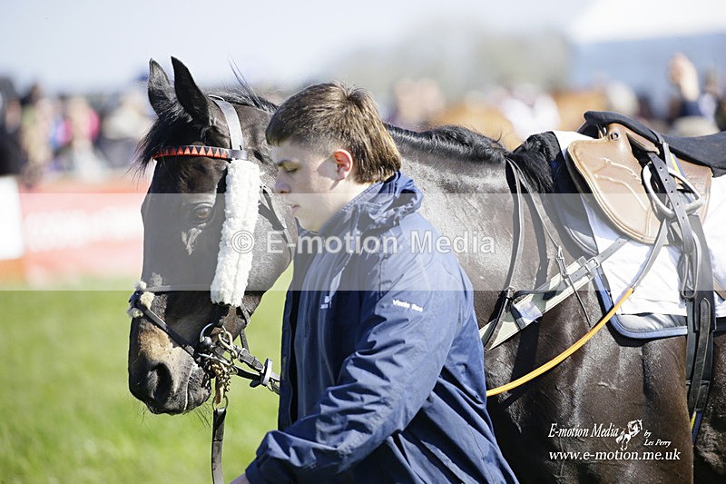 PtP 200322 3 - Mendip Farmers Point-to-Point 20/03/22
