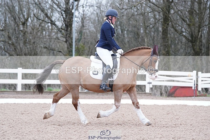 250214-094900-00080 - 167-Willow.Tarrant.Clark-Ashgrove.Wendi