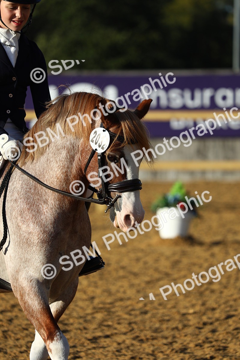 SBM_31654 - D11 - Small Tour Championship Prelim 1