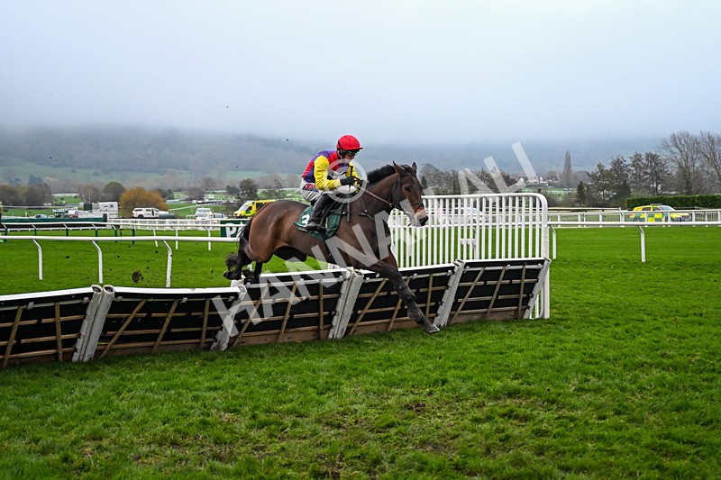 151125-Race 6-Jurancon-4101 - Race 6
